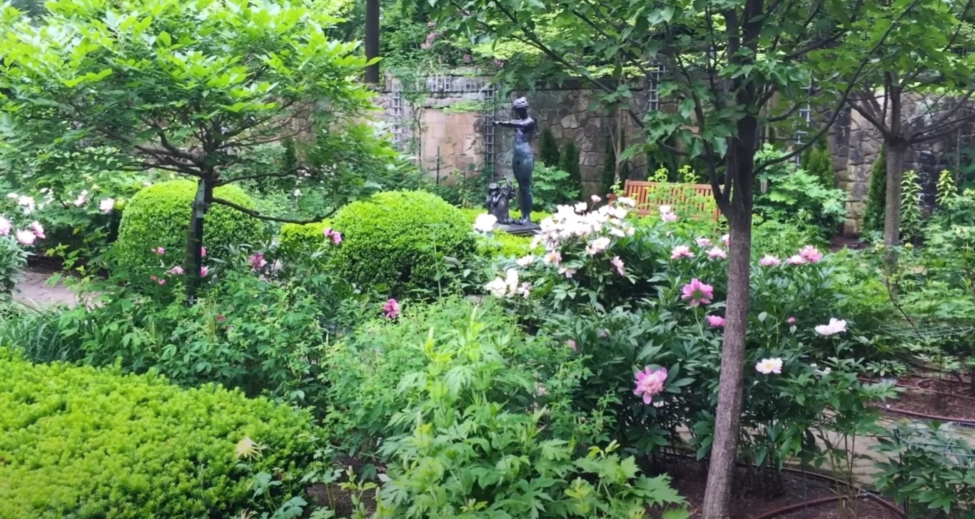 Landscape Design & Installation services in Buena Park, CA