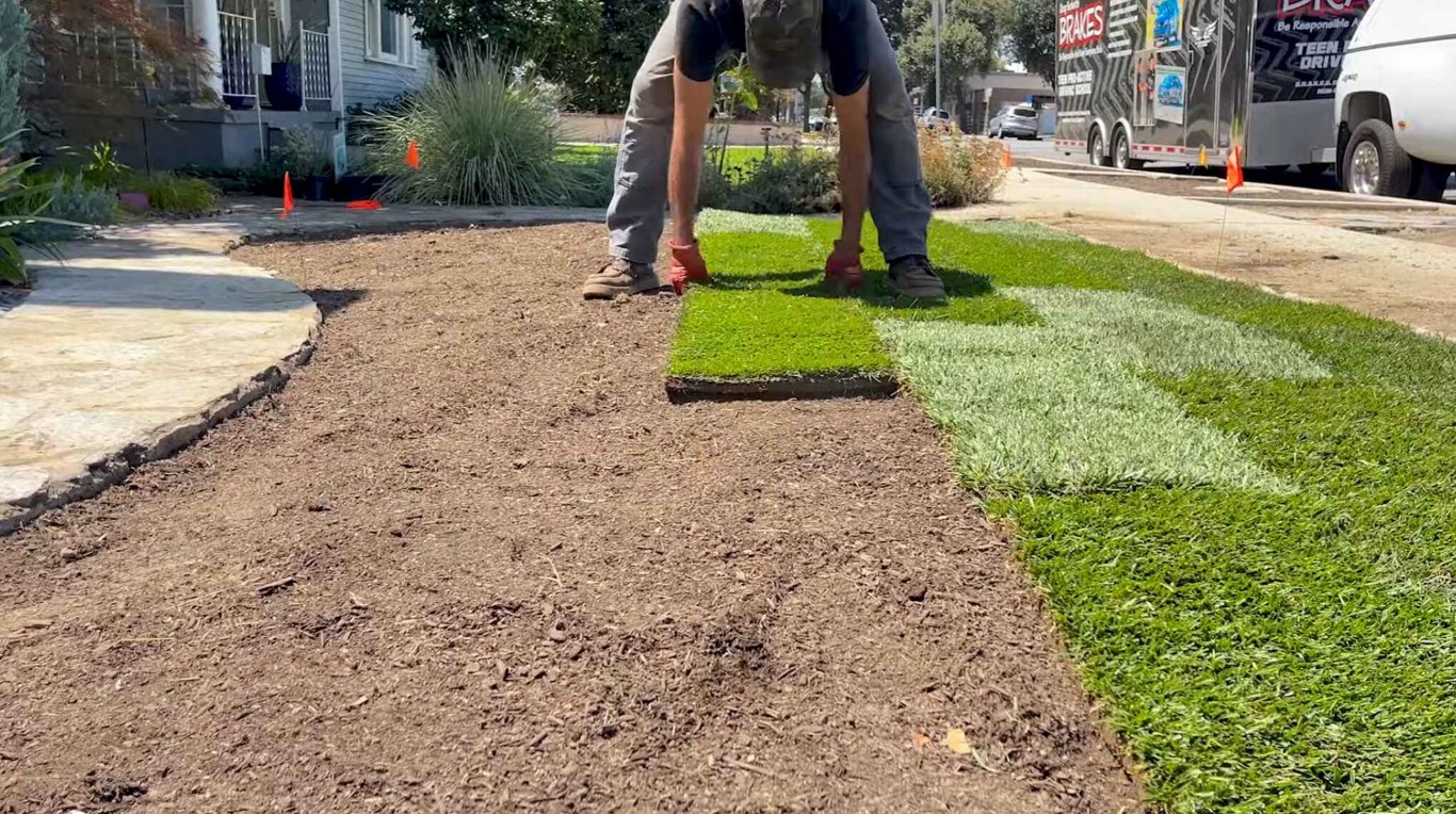 Sod Installation & Lawn Renovation services in Buena Park, CA